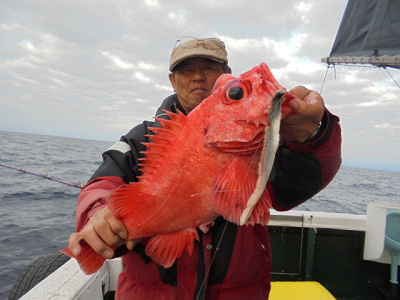 [Cނ