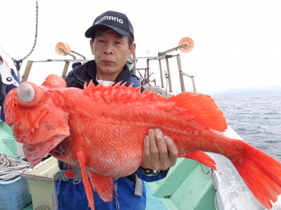 [Cނ