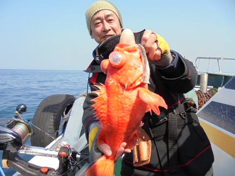 [Cނ