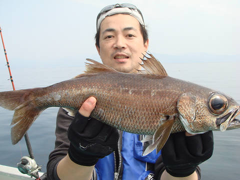 [Cނ