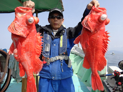 [Cނ