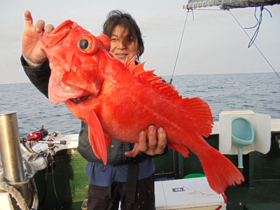 [Cނ