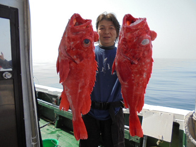 [Cނ