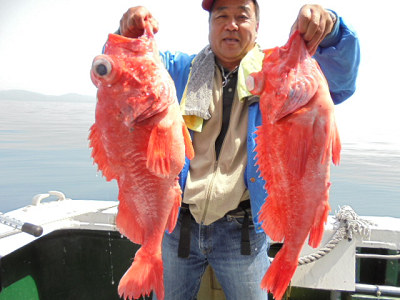 [Cނ