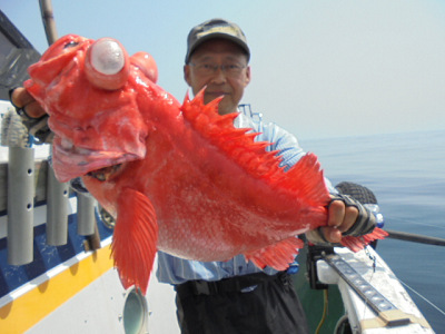 [Cނ