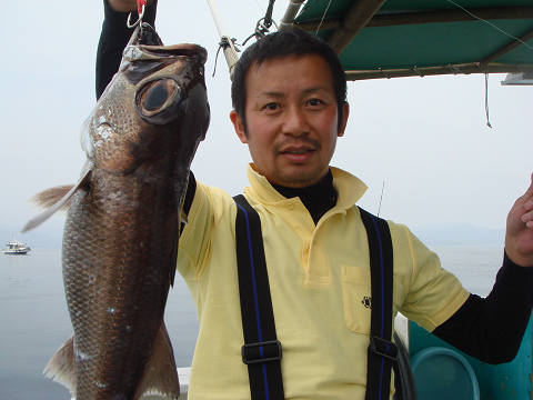 [Cނ