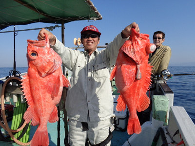 [Cނ