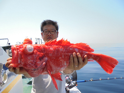 [Cނ