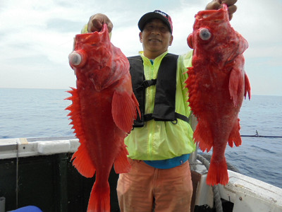 [Cނ