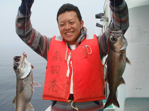 [Cނ