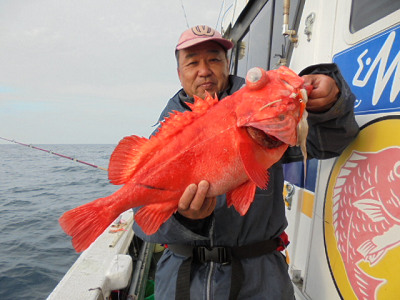 [Cނ