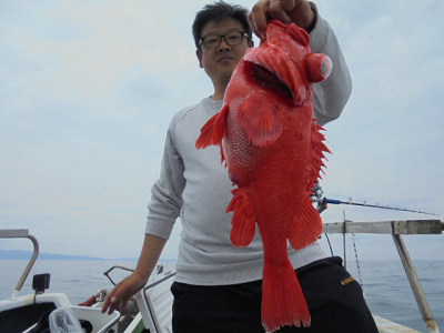 [Cނ