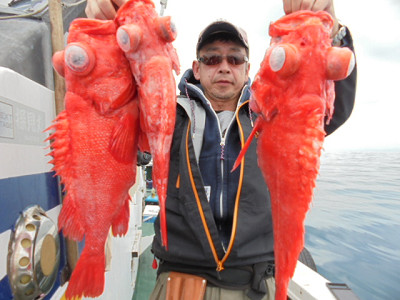 [Cނ