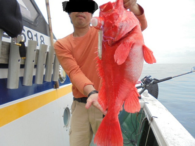 [Cނ