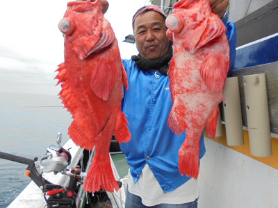 [Cނ