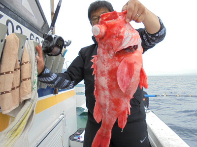 [Cނ