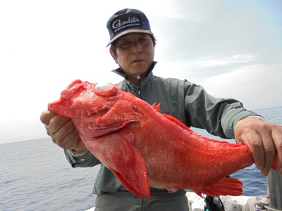 [Cނ