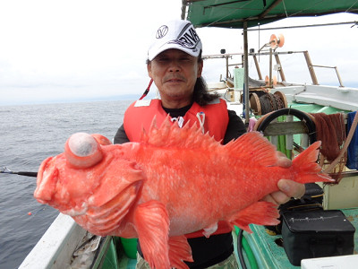[Cނ