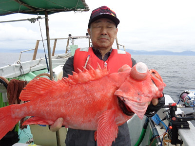 [Cނ