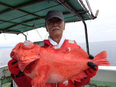 [Cނ