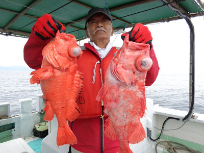 [Cނ