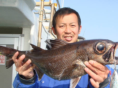 [Cނ
