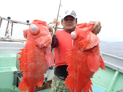 [Cނ