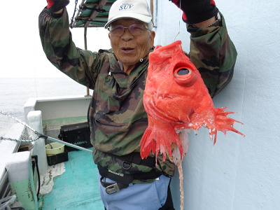 [Cނ