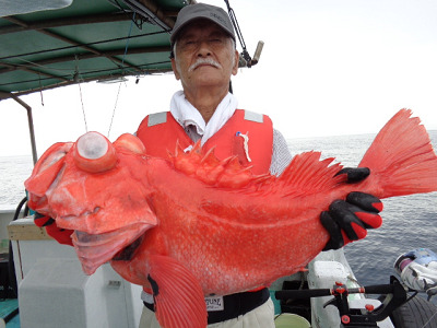 [Cނ