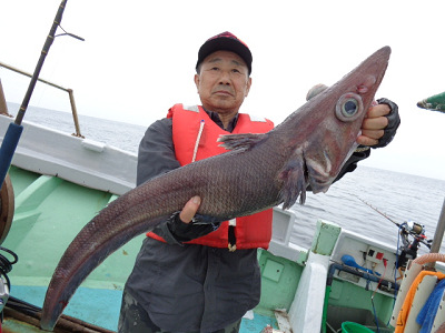 [Cނ