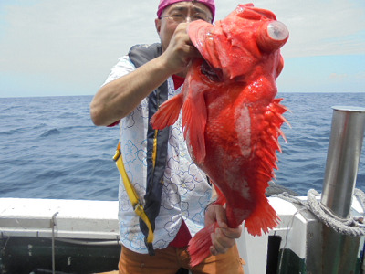 [Cނ