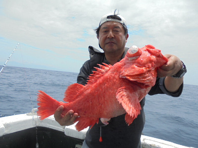 [Cނ