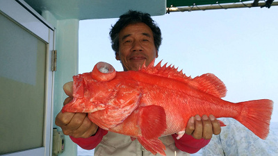 [Cނ