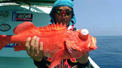 [Cނ
