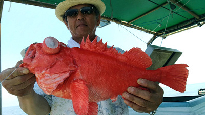 [Cނ