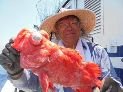 [Cނ