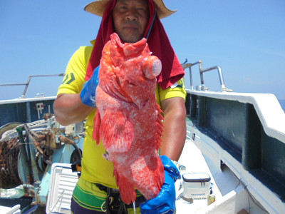 [Cނ