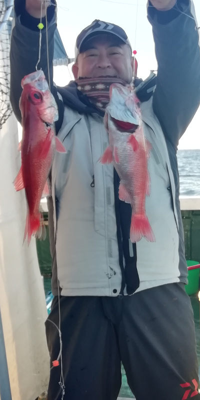 [Cނ