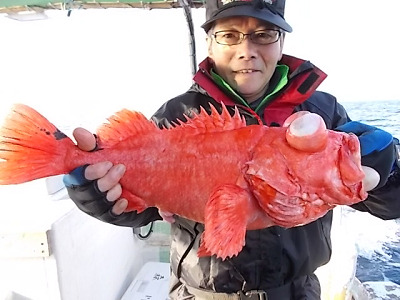[Cނ