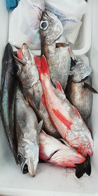 [Cނ