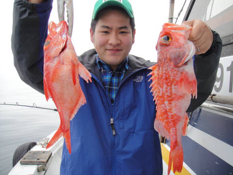 [Cނ