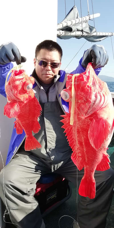 アコウ