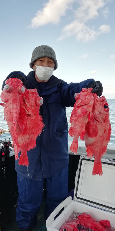 アコウ