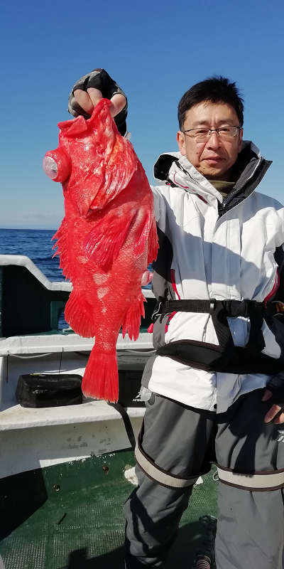 アコウ