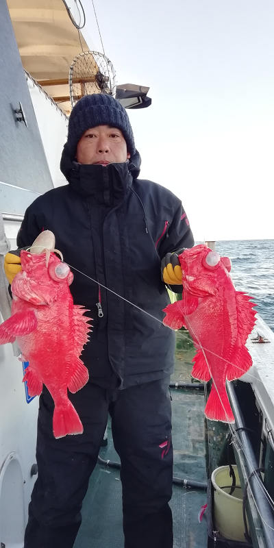 アコウ