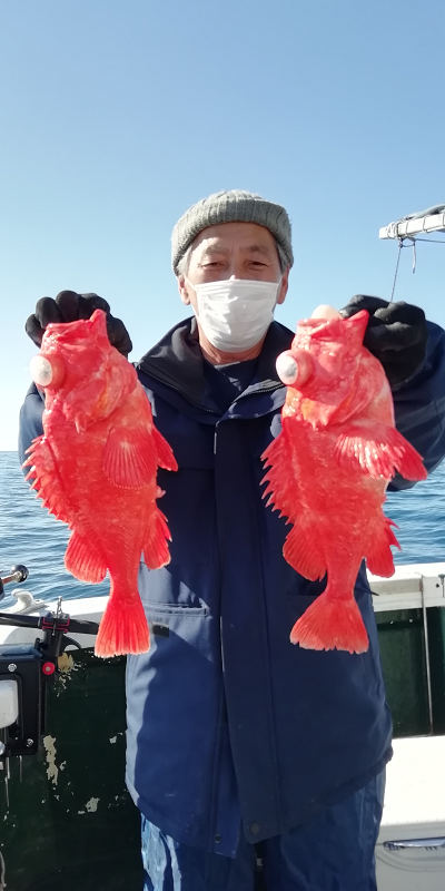 アコウ