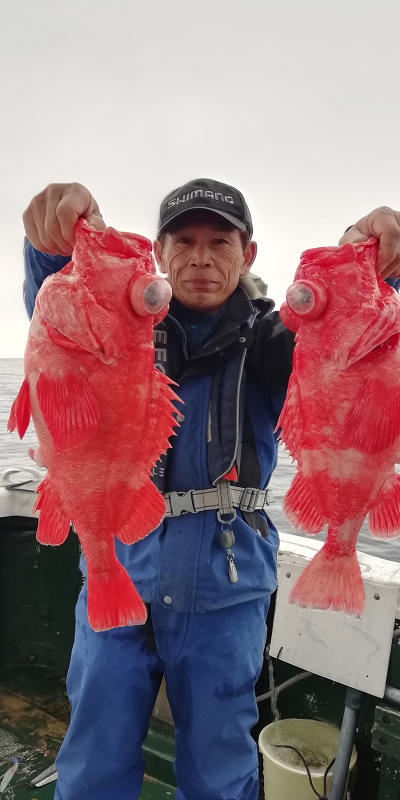 アコウ