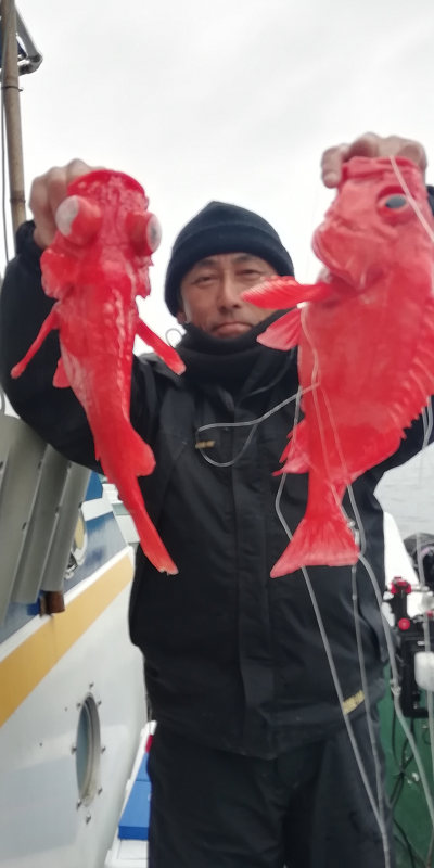 アコウ