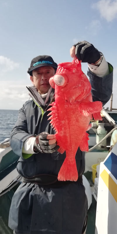 アコウ