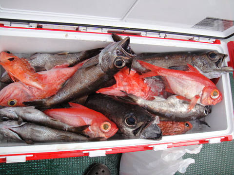 [Cނ